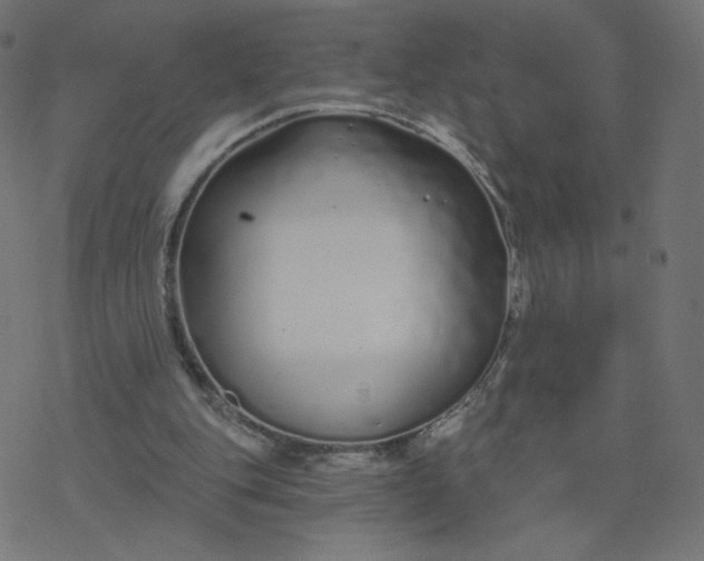 X0000077400151200611032035