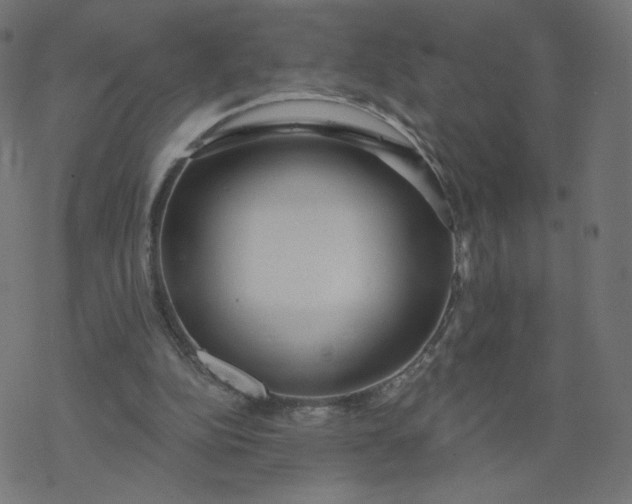 X0000077400152200611032035