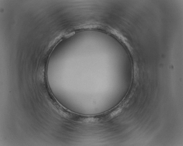 X0000077400153200611032035