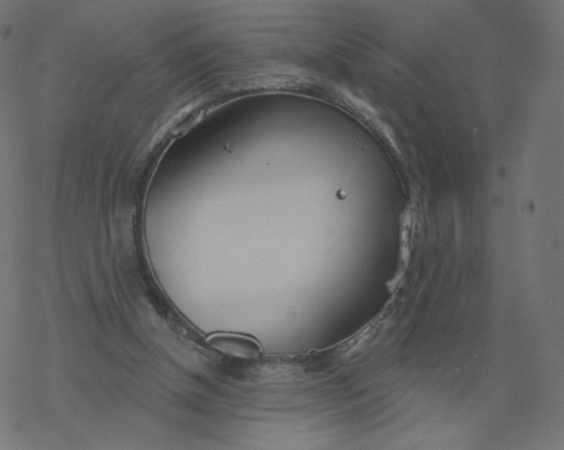 X0000077400154200611032035