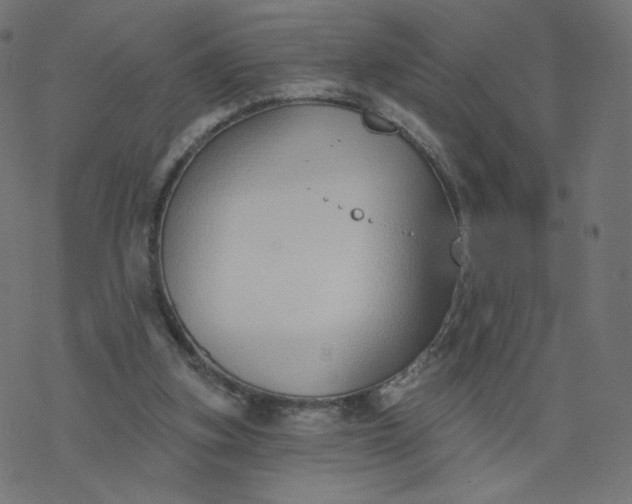 X0000077400155200611032035