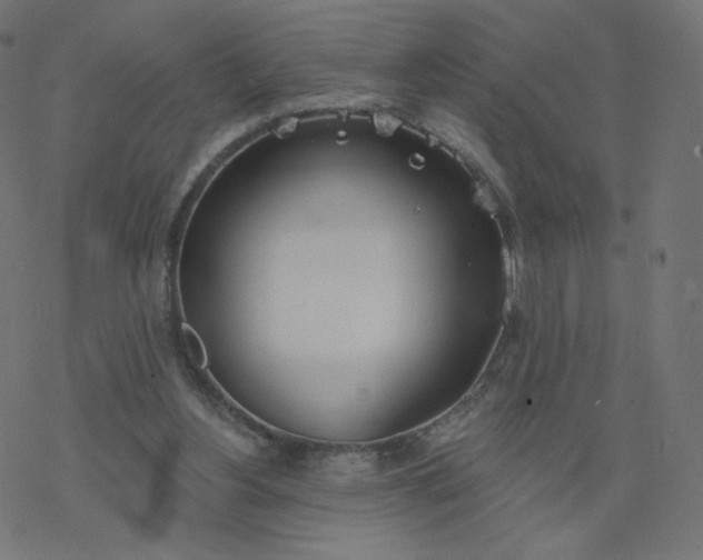 X0000077400156200611032035