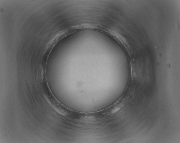 X0000077400157200611032035