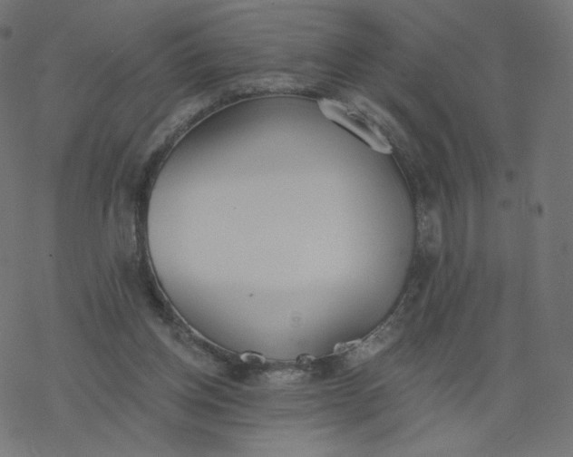 X0000077400158200611032035