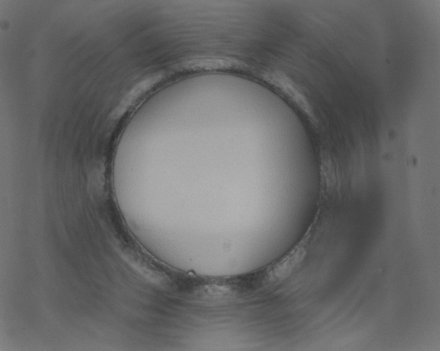 X0000077400159200611032035