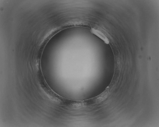 X0000077400160200611032035