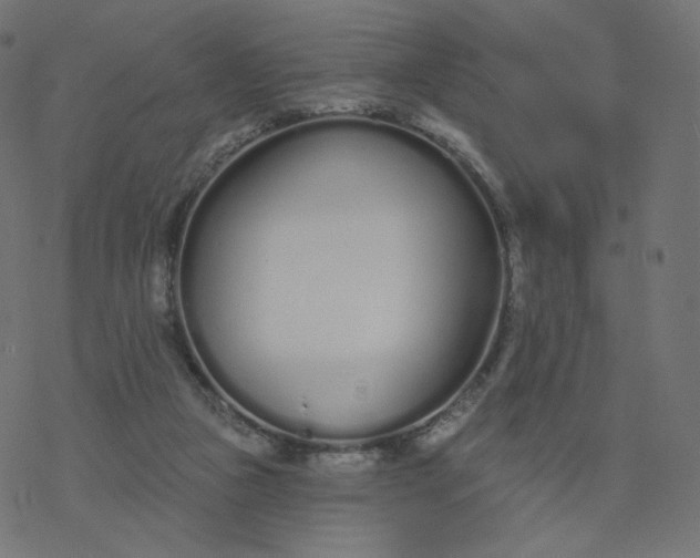 X0000077400161200611032035