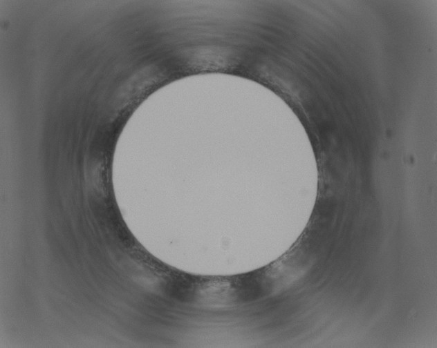 X0000077400162200611032035