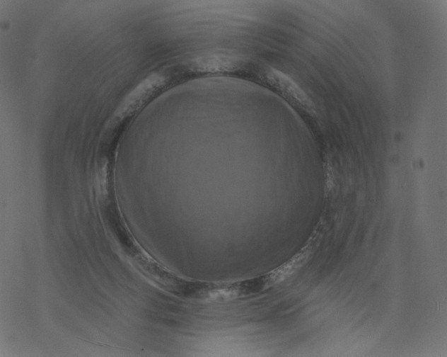 X0000077400163200611032035