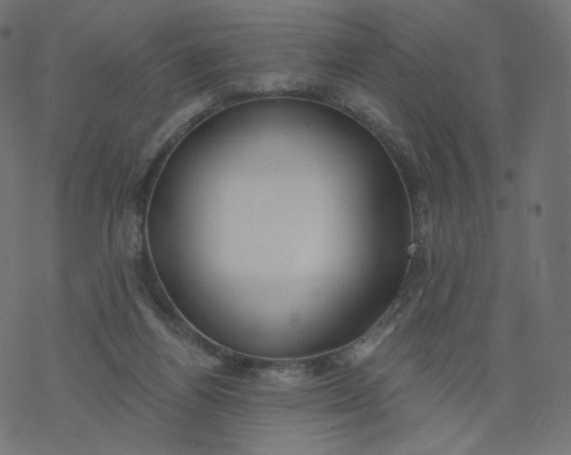 X0000077400164200611032035