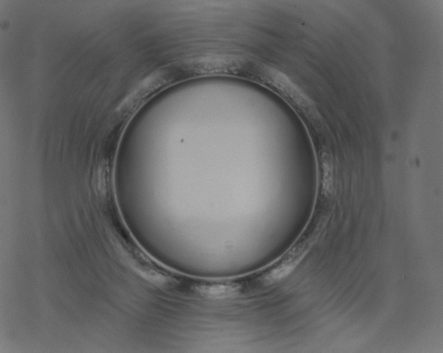 X0000077400165200611032035