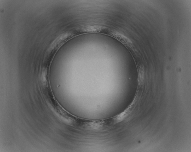 X0000077400166200611032035