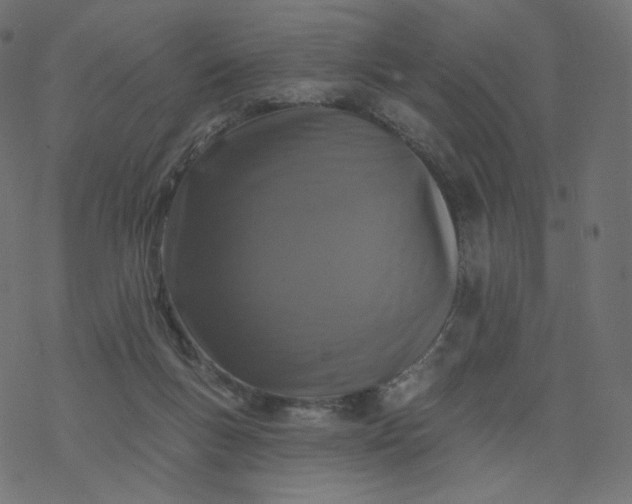 X0000077400167200611032035