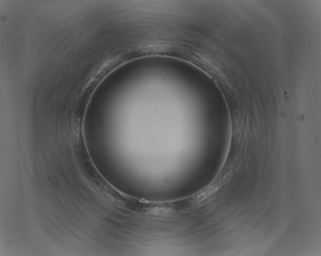 X0000077400168200611032035