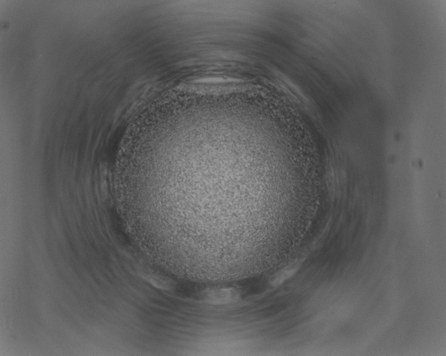 X0000077400169200611032035