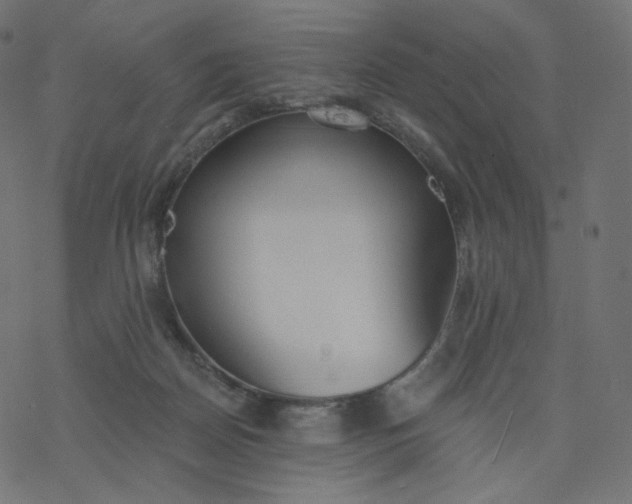 X0000077400170200611032035