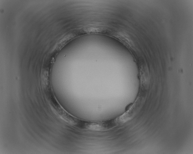 X0000077400171200611032035