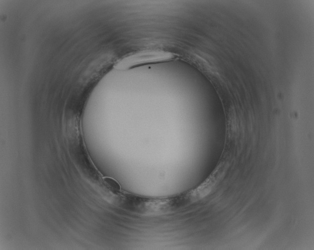 X0000077400172200611032035