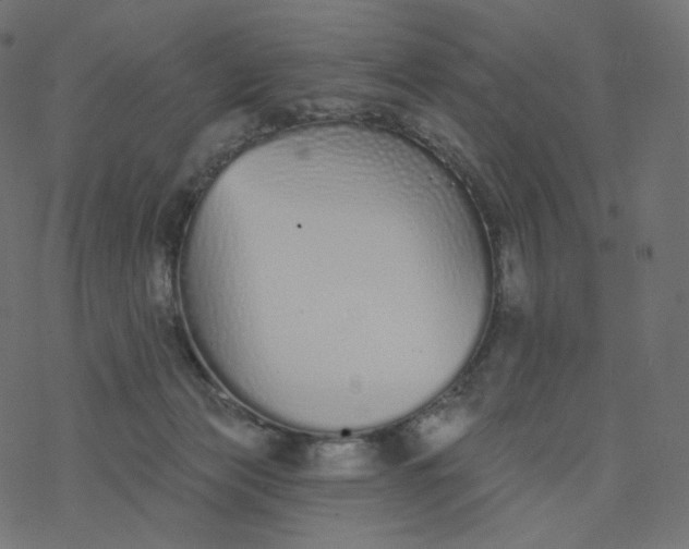 X0000077400173200611032035