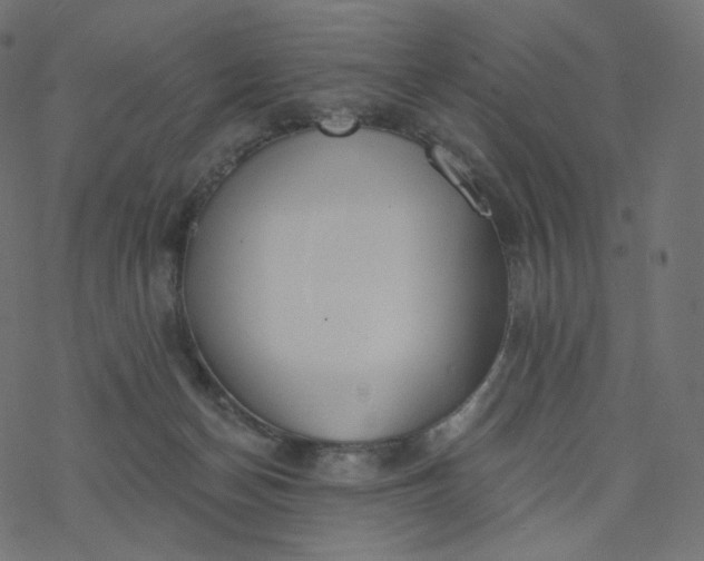 X0000077400174200611032035