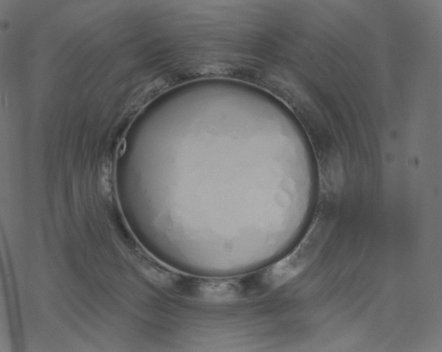 X0000077400175200611032035