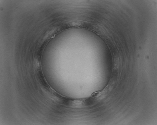 X0000077400176200611032035