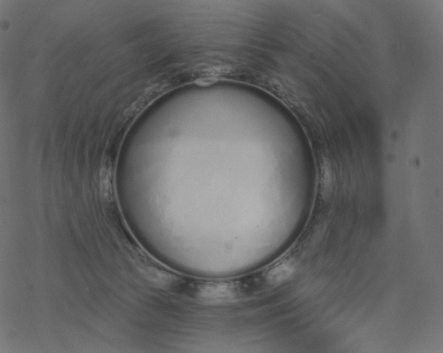 X0000077400177200611032035