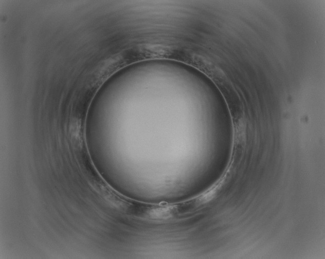 X0000077400178200611032035