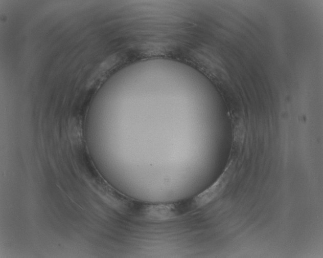 X0000077400179200611032035