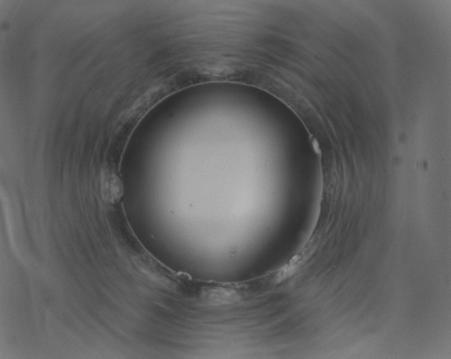 X0000077400180200611032036