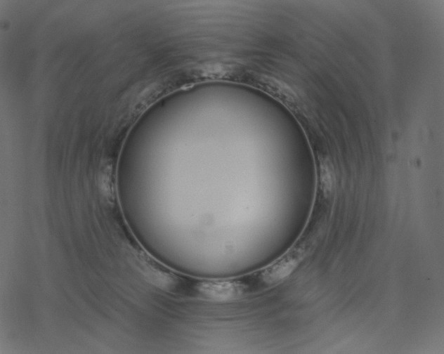 X0000077400181200611032036