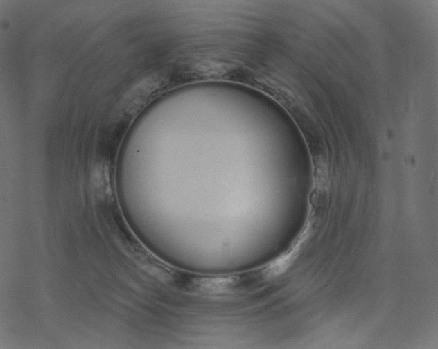 X0000077400182200611032036