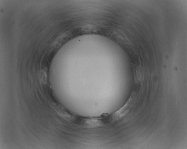 X0000077400183200611032036