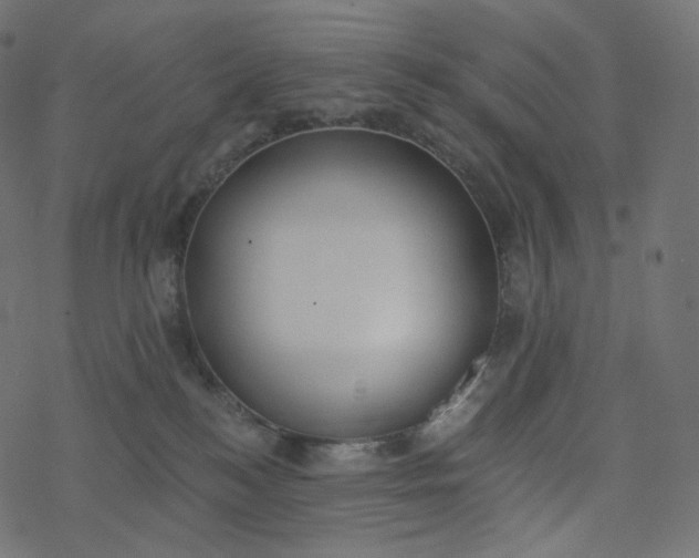 X0000077400184200611032036