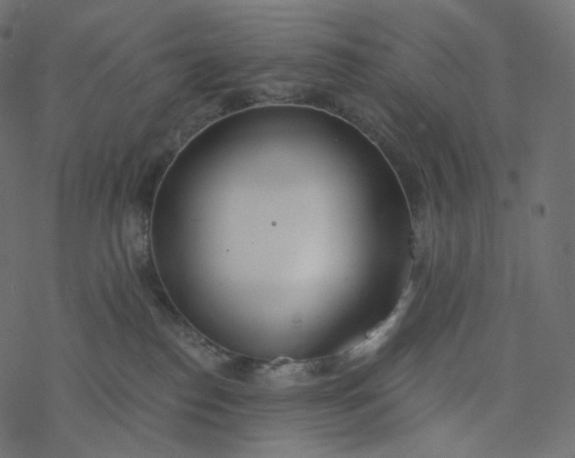 X0000077400186200611032036