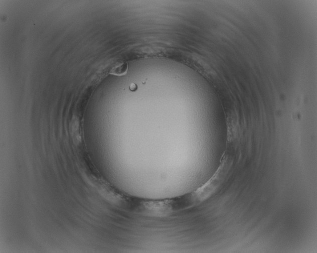 X0000077400187200611032036