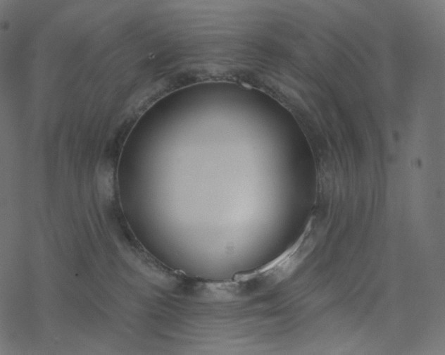 X0000077400188200611032036