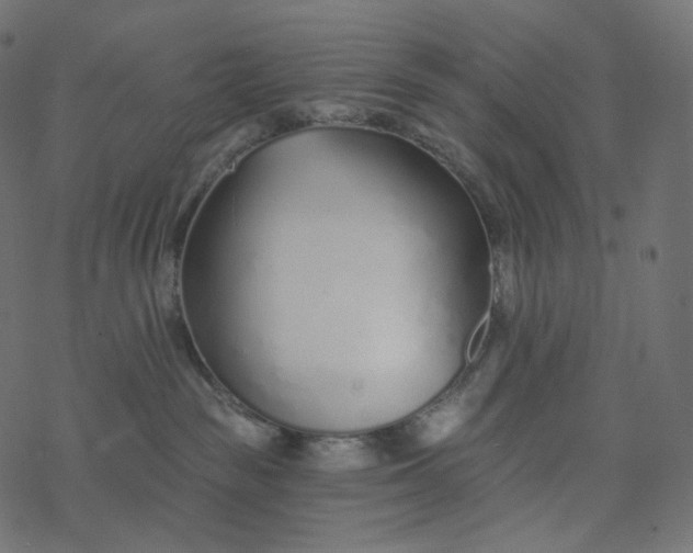 X0000077400189200611032036