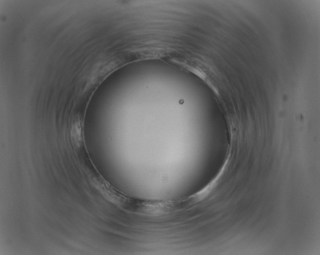 X0000077400190200611032036