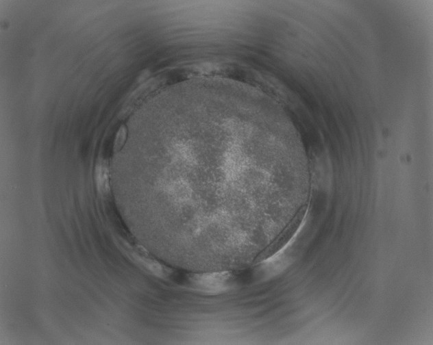 X0000077400191200611032036