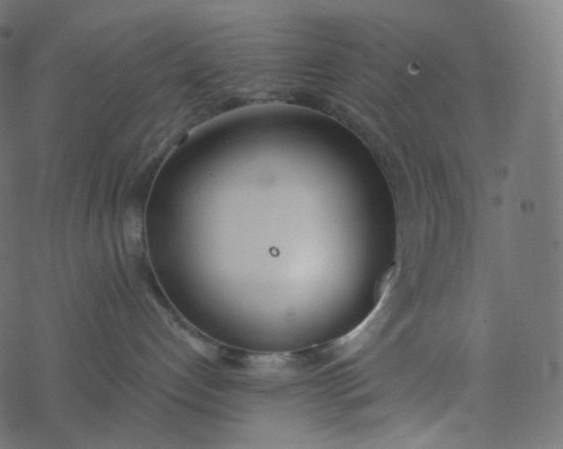 X0000077400192200611032036