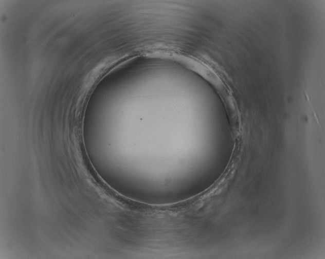 X0000077400193200611032035