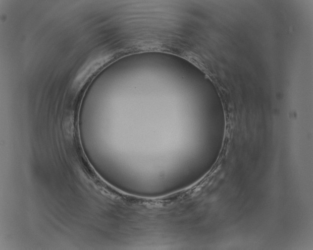 X0000077400194200611032035