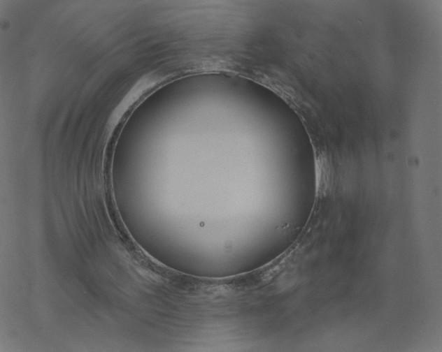 X0000077400195200611032035