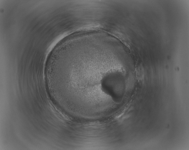 X0000077400196200611032035