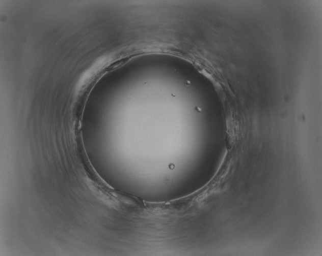 X0000077400197200611032035