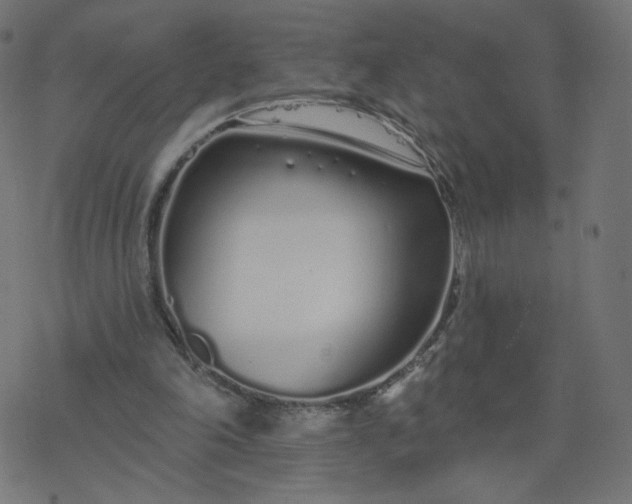 X0000077400198200611032035