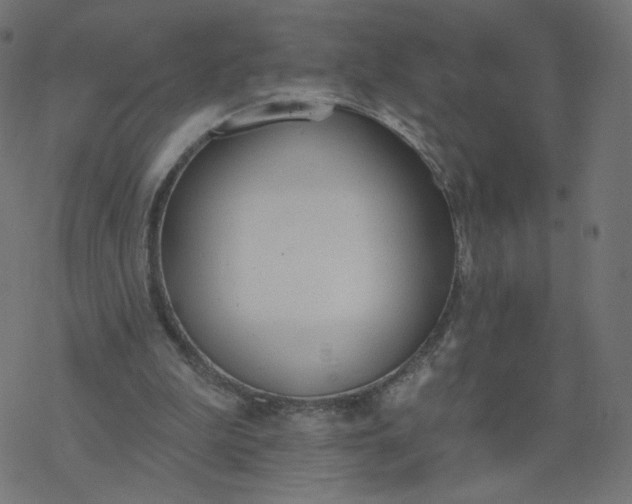 X0000077400199200611032035