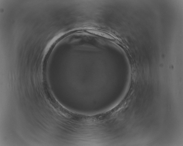 X0000077400200200611032035