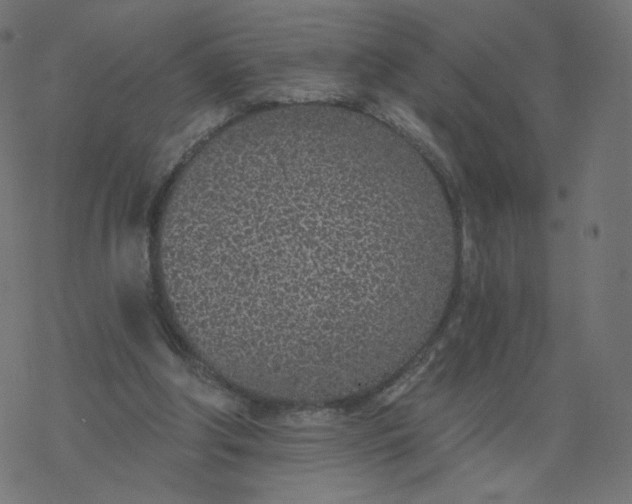 X0000077400202200611032035